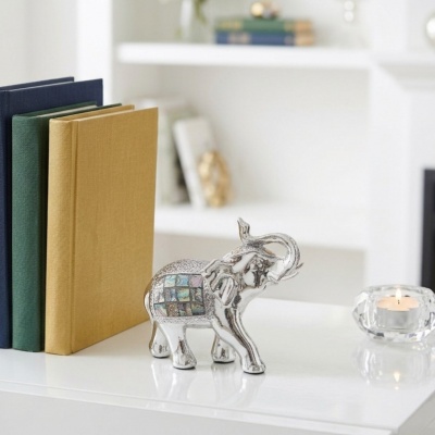 281238-ELEFANTE.jpeg