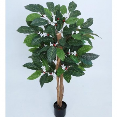 0435673-PLANTA.jpg