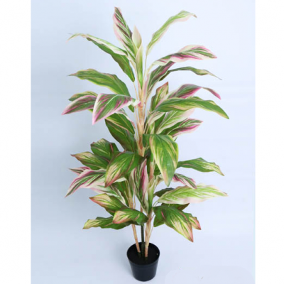 0435680-PLANTA.png